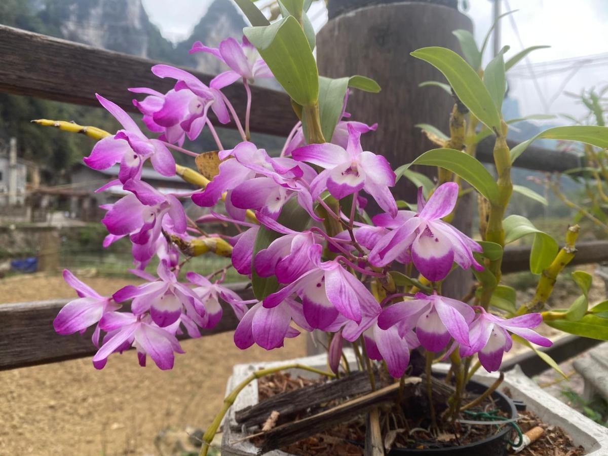 Lan Rung Homestay Lung Nieo Esterno foto
