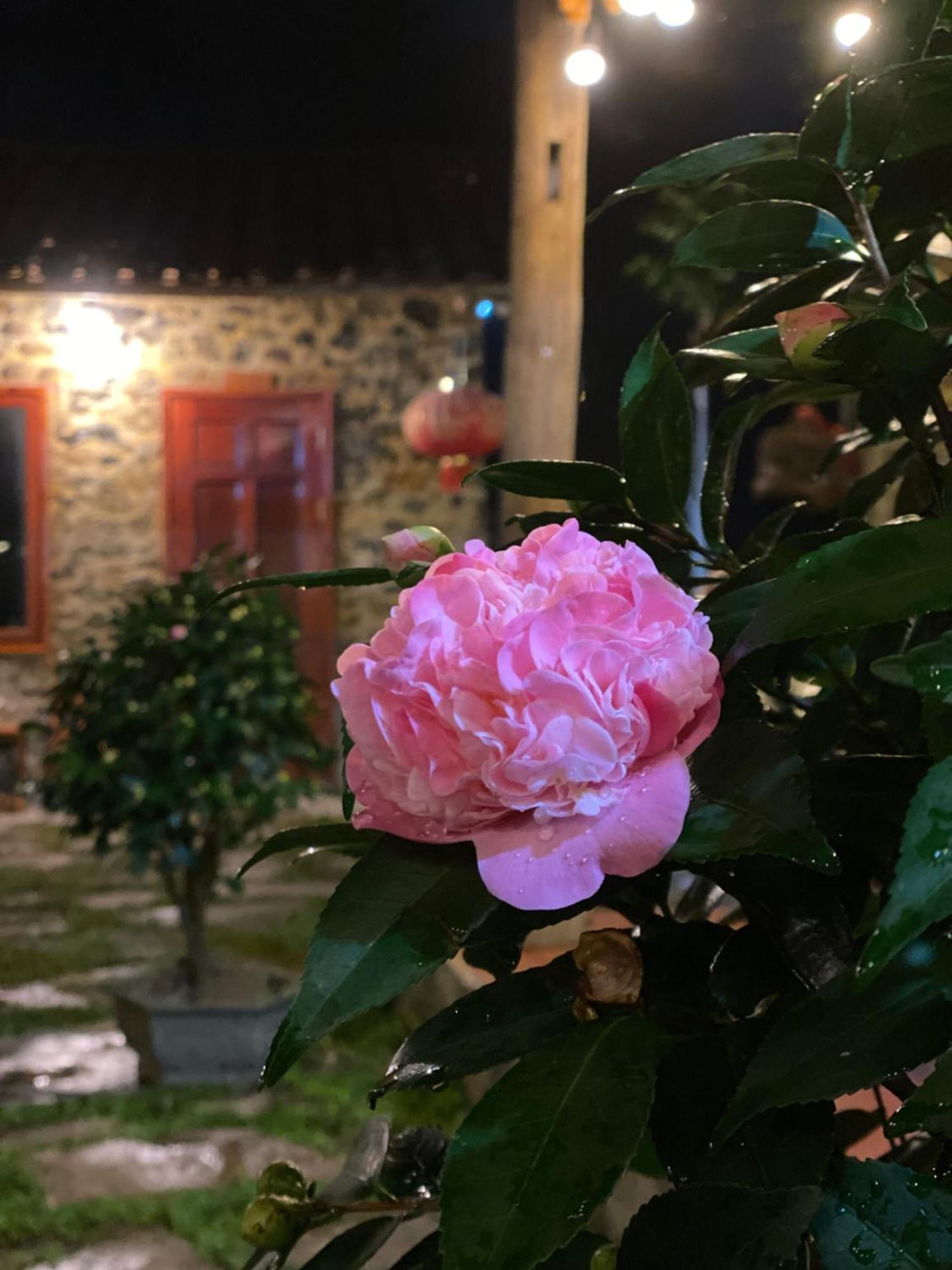 Lan Rung Homestay Lung Nieo Esterno foto