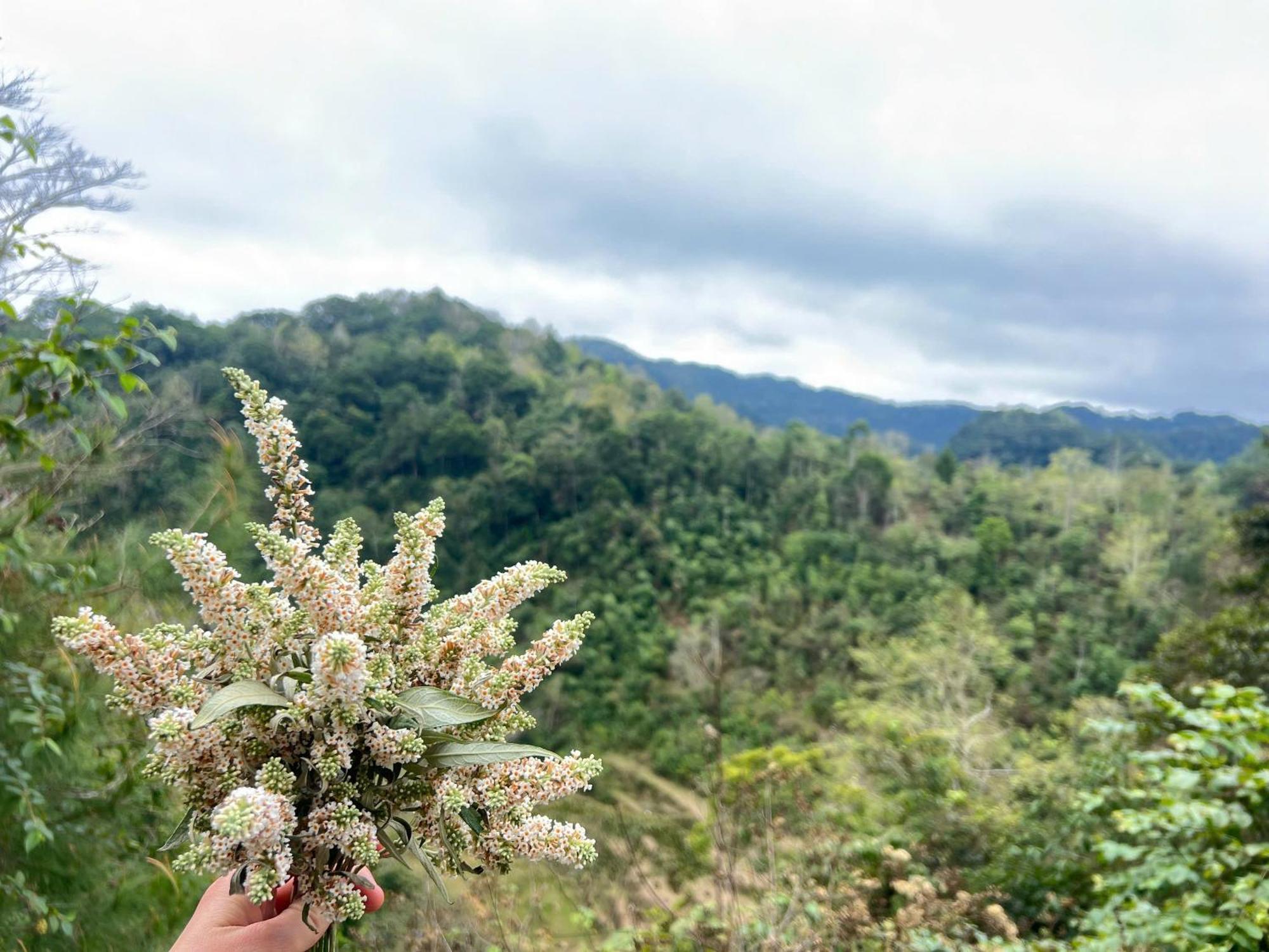 Lan Rung Homestay Lung Nieo Esterno foto