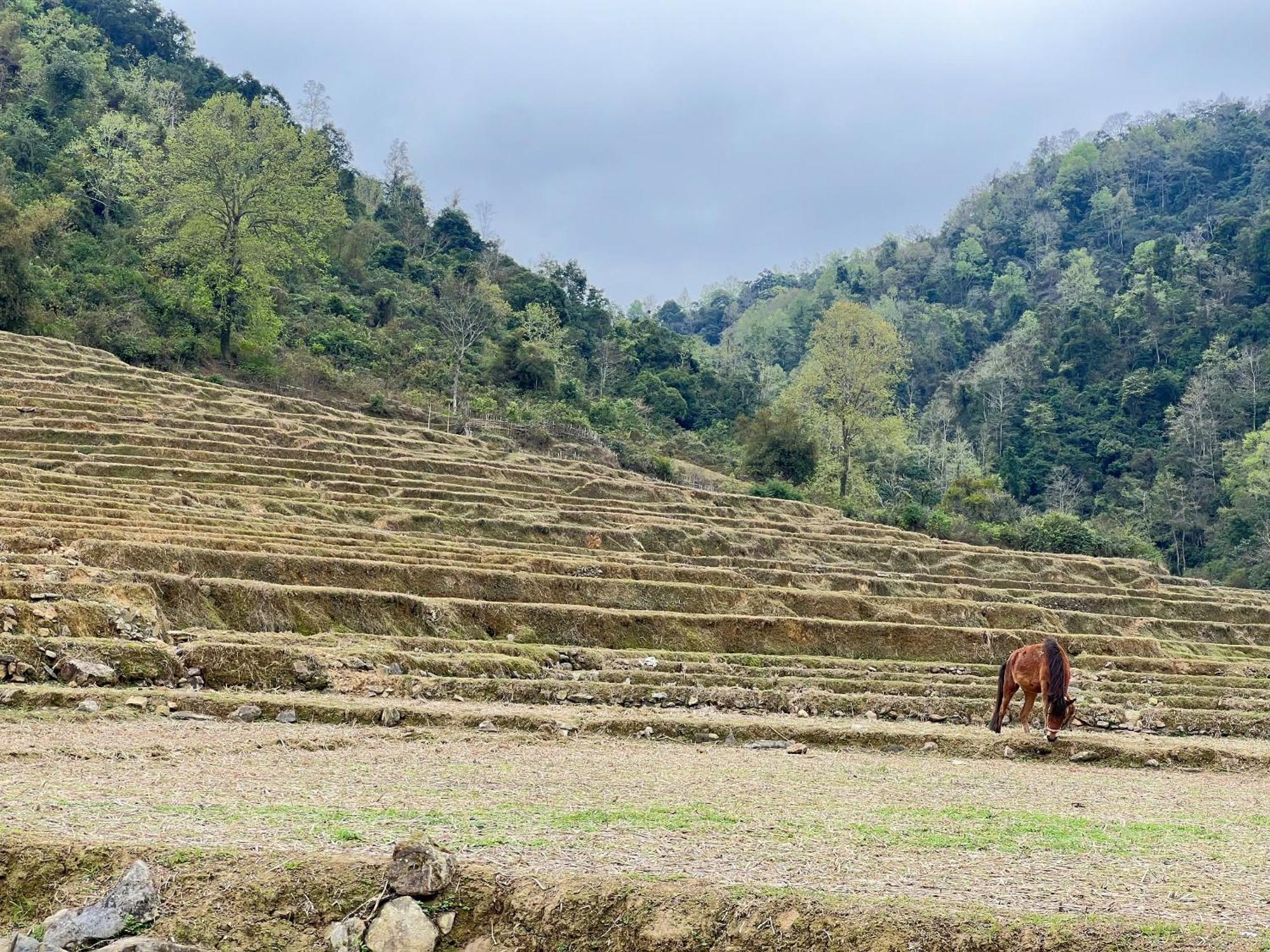Lan Rung Homestay Lung Nieo Esterno foto